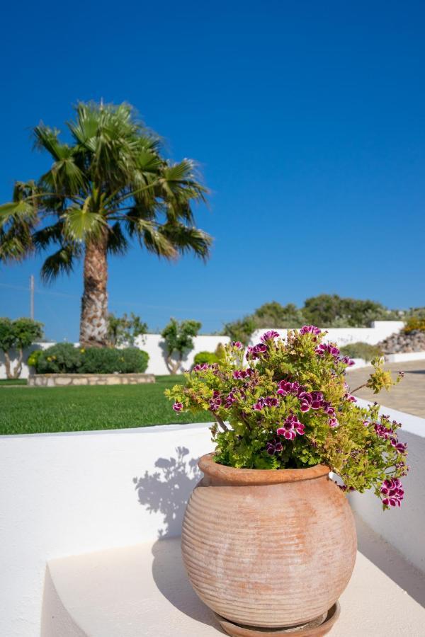 Georgia'S Apartments Kouremenos Beach Anevato Dış mekan fotoğraf
